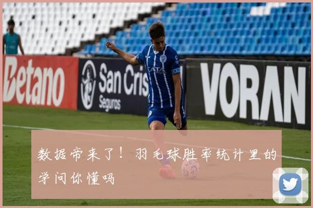 数据帝来了!羽毛球胜率统计里的学问你懂吗