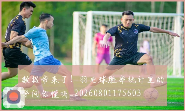 数据帝来了！羽毛球胜率统计里的学问你懂吗_20260801175603